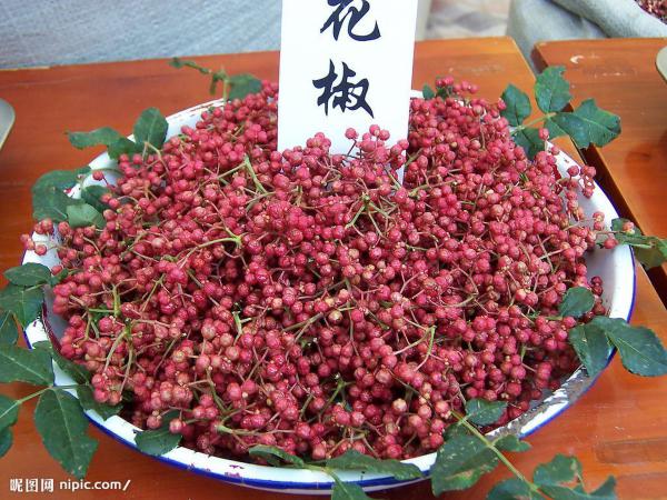 葱保护血管 葱姜蒜除提味还是老人神医