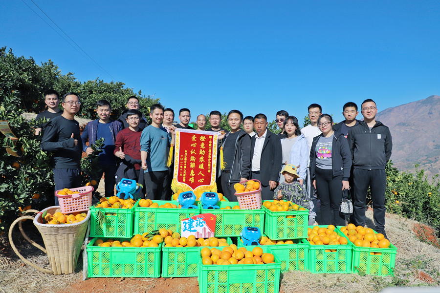 众志"橙橙"助果农 爱心认购解急难