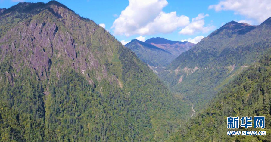 高黎贡山一景(10月2日摄).新华网 邵维岑 摄