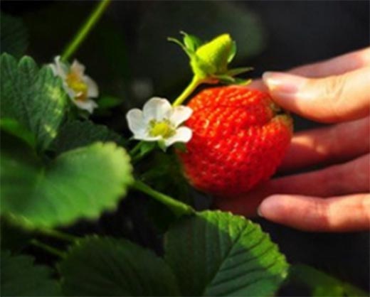 昆明周边最佳骑行路线推荐