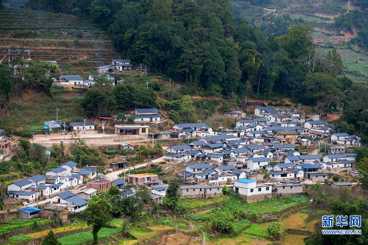 墨江县那哈乡那哈村天那村民小组的哈尼族群众新居一景(1月11日摄).