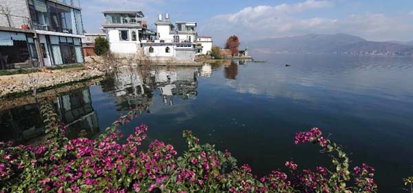 冬季到云南来看花[组图]图片