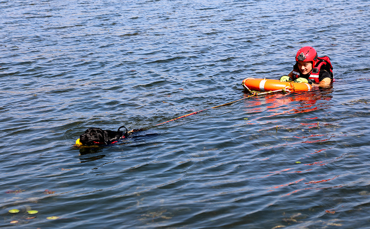 “火焰蓝”开展水域救援训练 搜救犬勇救“落水者”