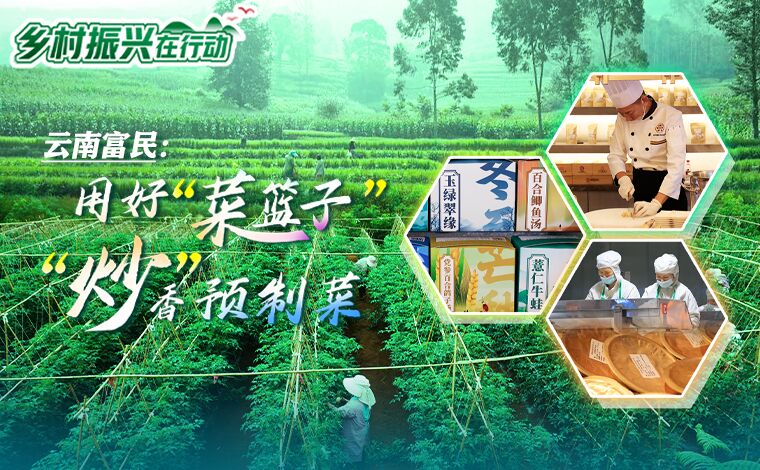 乡村振兴在行动｜云南富民：用好&ldquo;菜篮子&rdquo;&ldquo;炒&rdquo;香预制菜