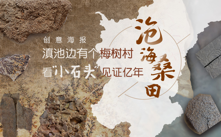 滇池边有个梅树村 看&ldquo;小石头&rdquo;见证亿年沧海桑田