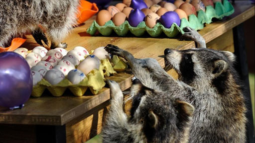 众星纪念梅艳芳逝世十周年张国荣最挂<em>梅姐</em>