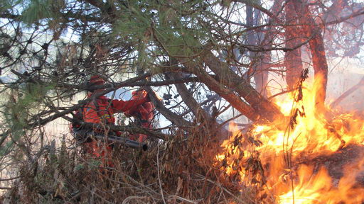 范冰冰晒唐装美艳照 网友盼其出演千颂伊