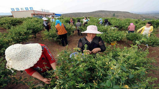 海关总署官员:保持 打击食糖走私 高压态势