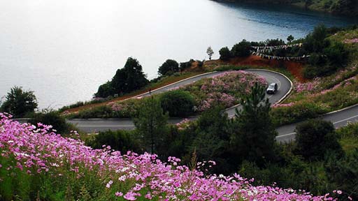 普通家庭少用消毒剂!消毒剂安全使用10问