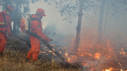 韩雪林志颖周杰伦 娱圈有钱任性土豪明星