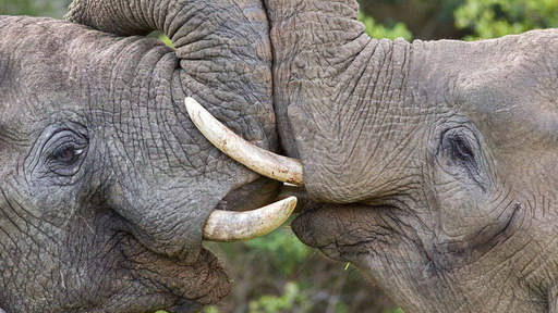 电影中的甜蜜吻戏大盘点